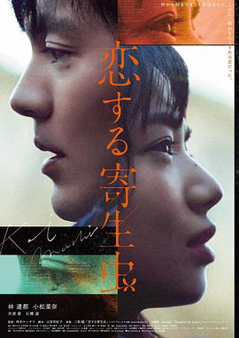 麦田以北