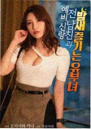 星际邮差详情图